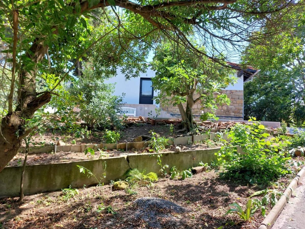 Getxo Garden Houses - The Suite Exterior photo